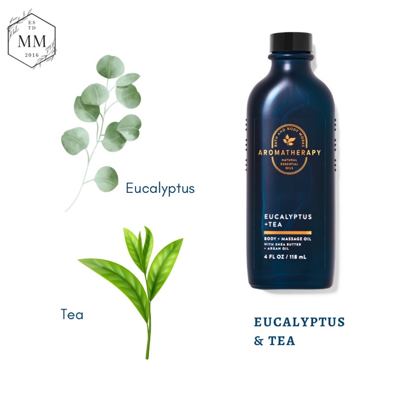 Eucalyptus Tea - Bộ sản phẩm dầu massage toàn thân Bath & Body Works