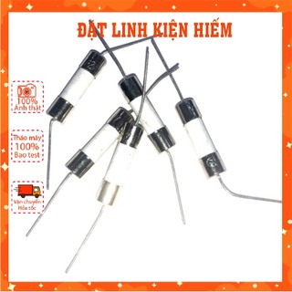 Cầu chì hàn chân 20a, cầu chì sứ 20a 250v 5x20mm hàn mạch.