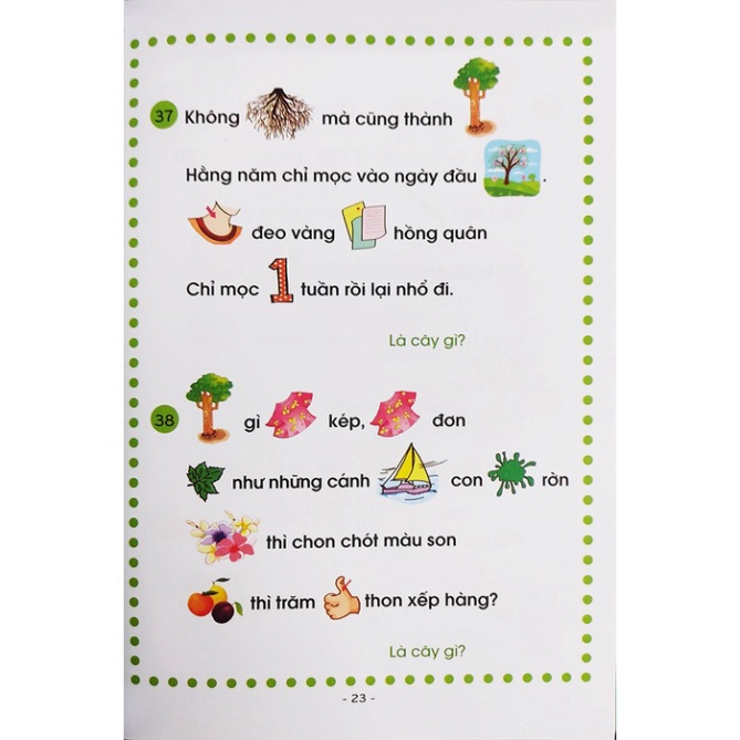 Sách - Câu Đố tư duy hình ảnh cho bé tập nói, tập đọc Đại Mai Books