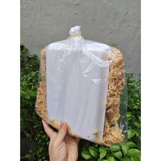 Cơm cháy siêu chà bông túi 500gr