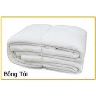 Bông lọc bể cá