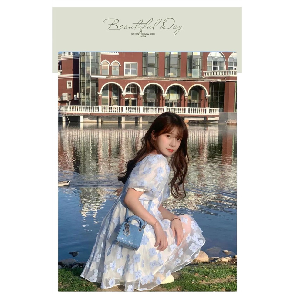 Đầm Công Chúa Tay Phồng Họa Tiết Hoa Nhỏ Xinh Xắn Phong Cách Pháp Thời Trang Cho Nữ