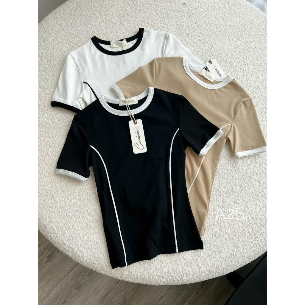 Aó Thun Trơn Phối Vièn Siêu Hot 2023 TAT (HỎA TÔC) LT001