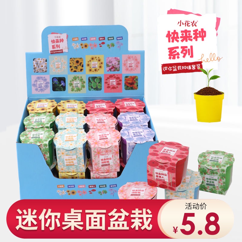 Chậu Hoa / Dâu Tây / Ớt Bạc Hà / Bạc Hà Handmade DIY Dành Cho Trẻ Mẫu