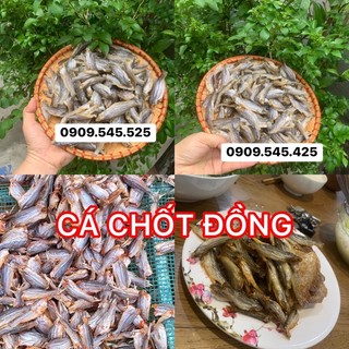 Đặt sản khô cá chốt đồng 💯 thiên nhiên