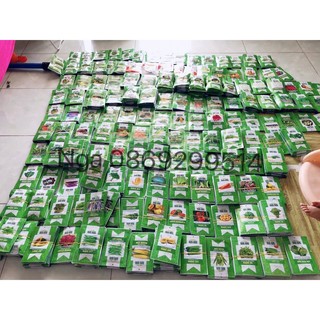 5gram Hạt giống bắp ngọt trồng quanh năm