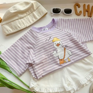 Pull kẻ tím duck