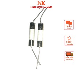 Cầu chì hàn chân 20a, cầu chì sứ 20a 250v 5x20mm hàn mạch.
