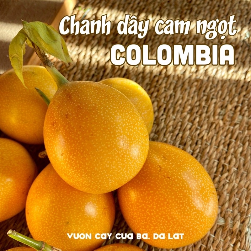 Chanh dây Colombia - Chanh dây vàng ngọt hương ổi -1kg