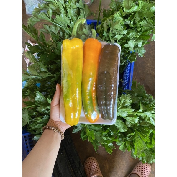 Ớt trái cây - Ớt Palermo