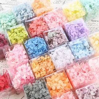 (XẢ KHO) Hoa cẩm tú cầu khô trang trí resin nail- make up cô dâu