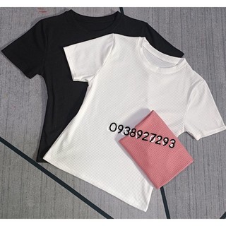 Áo thun gân basic,áo thun nữ