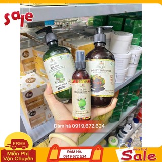 Combo 3 Dầu Gội- Dầu xả bưởi non - tinh dầu bưởi hương nhu Thảo Mộc Xưa 500ml