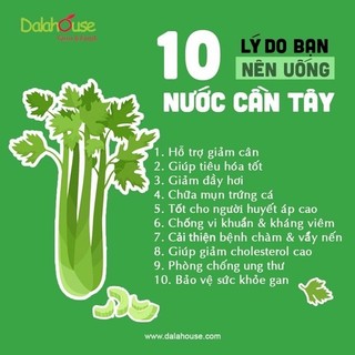 500g Bột cần tây nguyên chất 100%