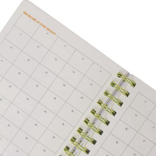 ( Chính Hãng ) Sổ lò xo KLONG kép Study Planner A5 - MS: 946