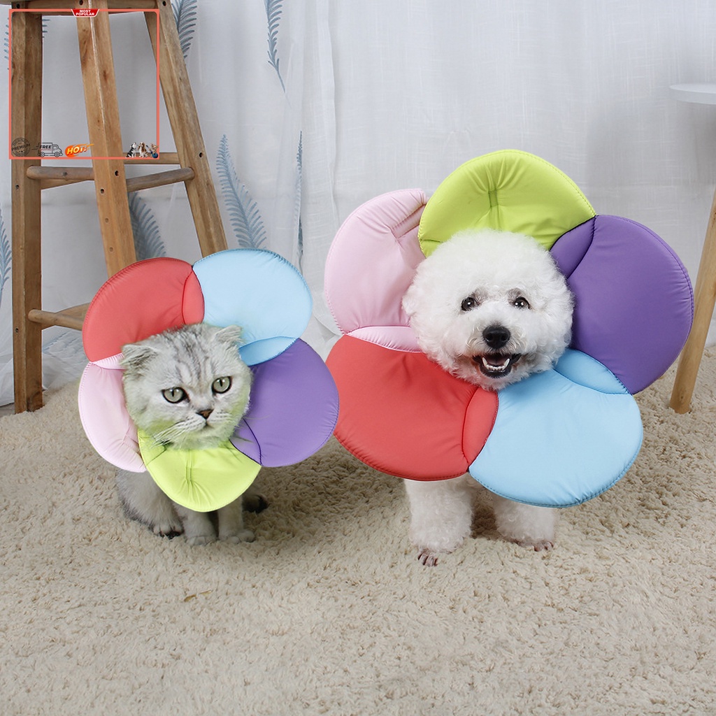 Vòng Cổ Bằng Xốp Mềm Chống Cắn Hình Hoa Bảo Vệ Cho Chó Mèo