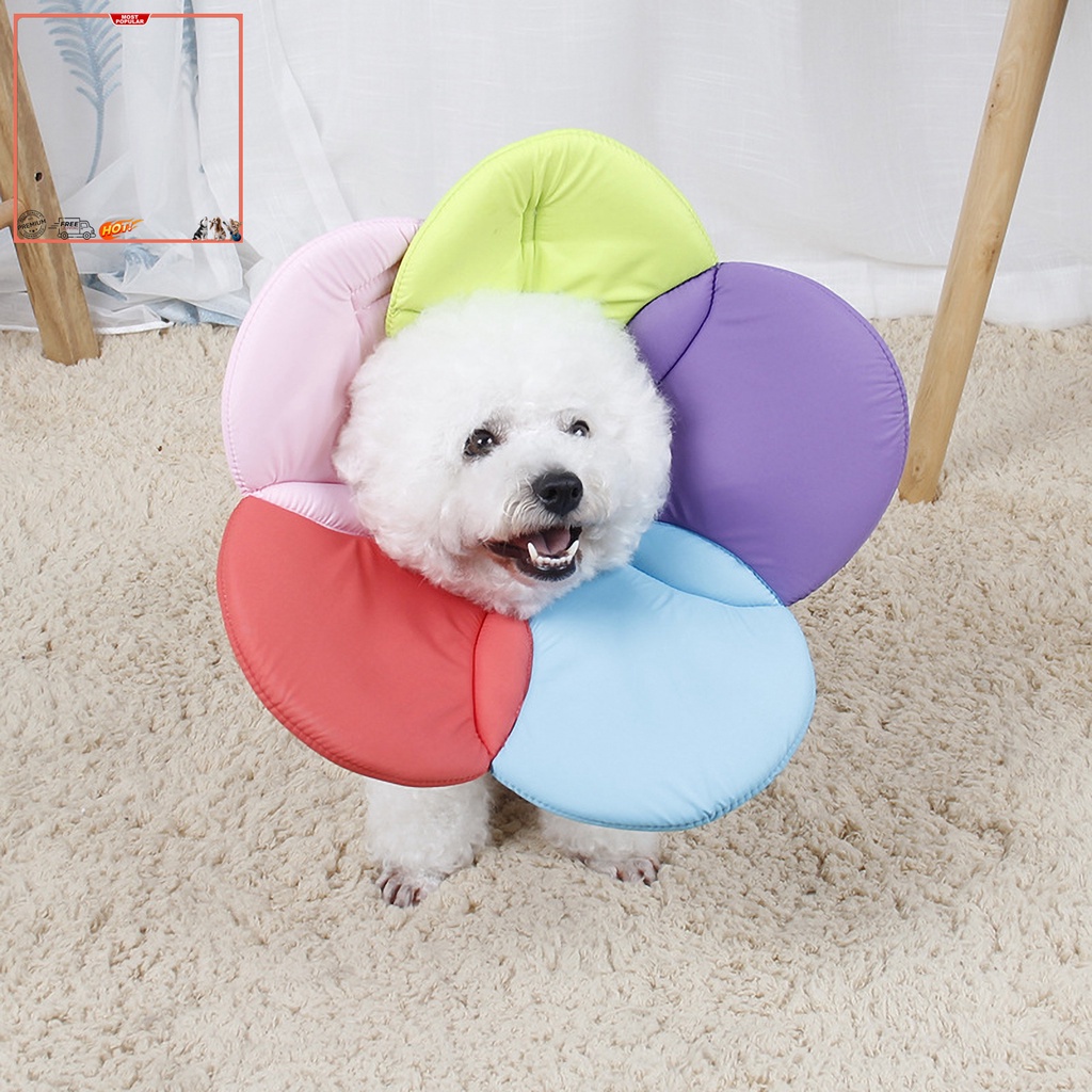 Vòng Cổ Bằng Xốp Mềm Chống Cắn Hình Hoa Bảo Vệ Cho Chó Mèo