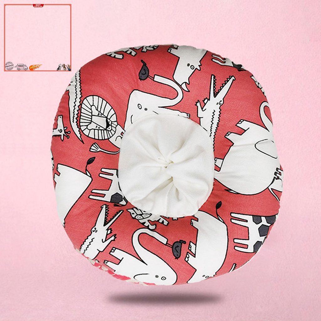 Vòng Cổ Hình Nón Có Thể Điều Chỉnh Bảo Vệ Sức Khỏe Cho Thú Cưng