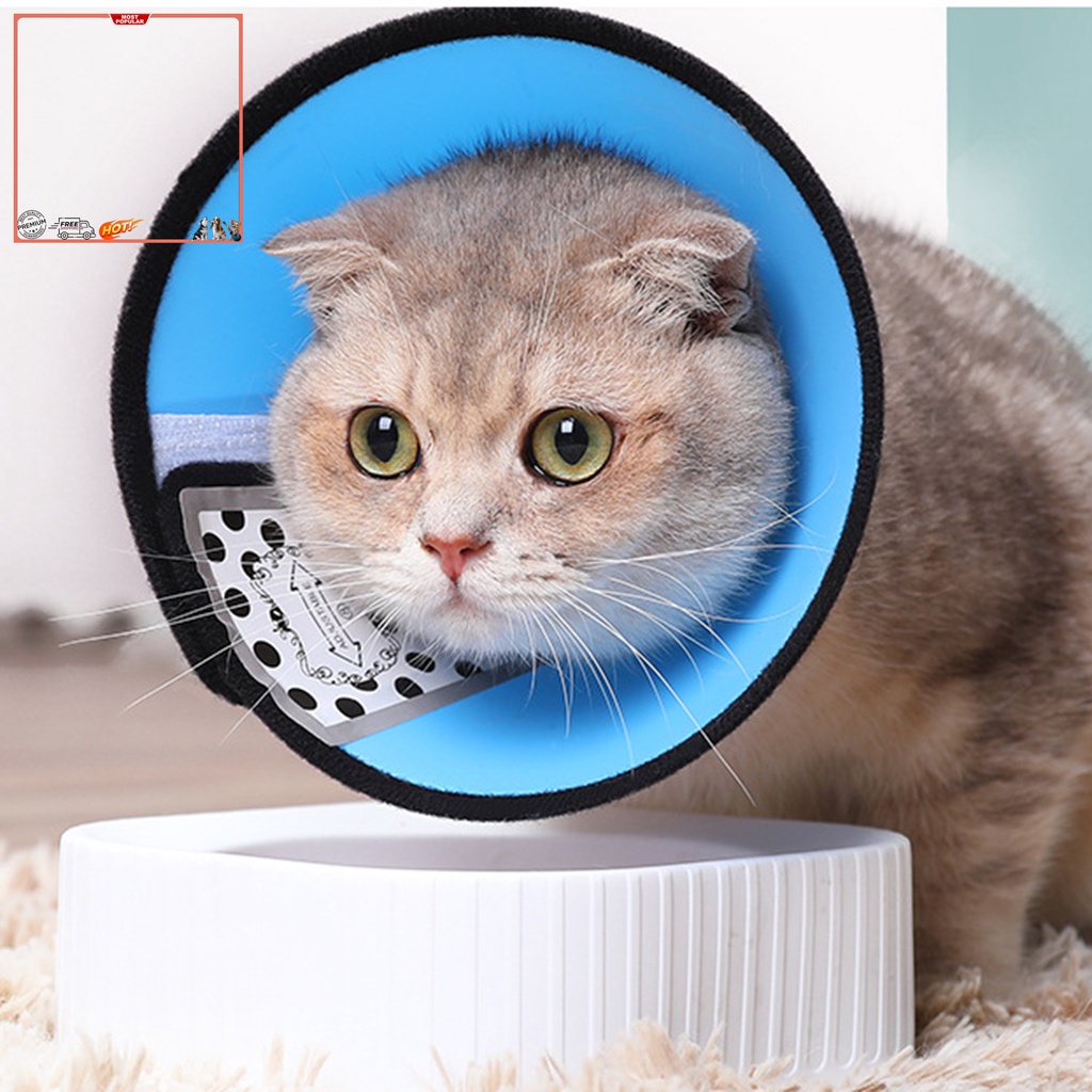 Vòng Cổ Tròn Bằng Nhựa Màu Trơn Chống Liếm Vết Thương Bảo Vệ Cho Mèo Cưng