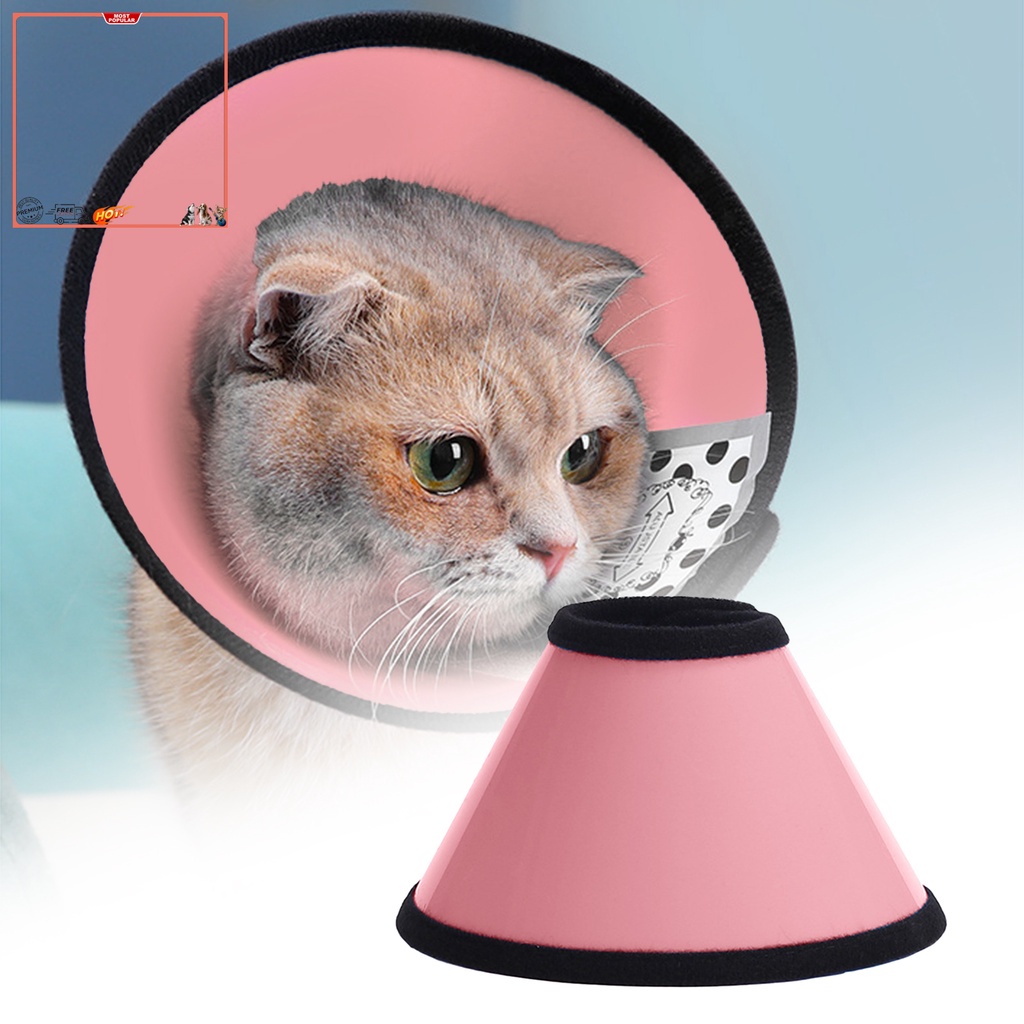 Vòng Cổ Tròn Bằng Nhựa Màu Trơn Chống Liếm Vết Thương Bảo Vệ Cho Mèo Cưng