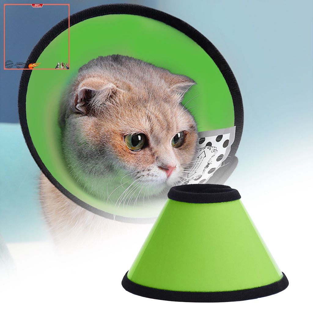 Vòng Cổ Tròn Bằng Nhựa Màu Trơn Chống Liếm Vết Thương Bảo Vệ Cho Mèo Cưng
