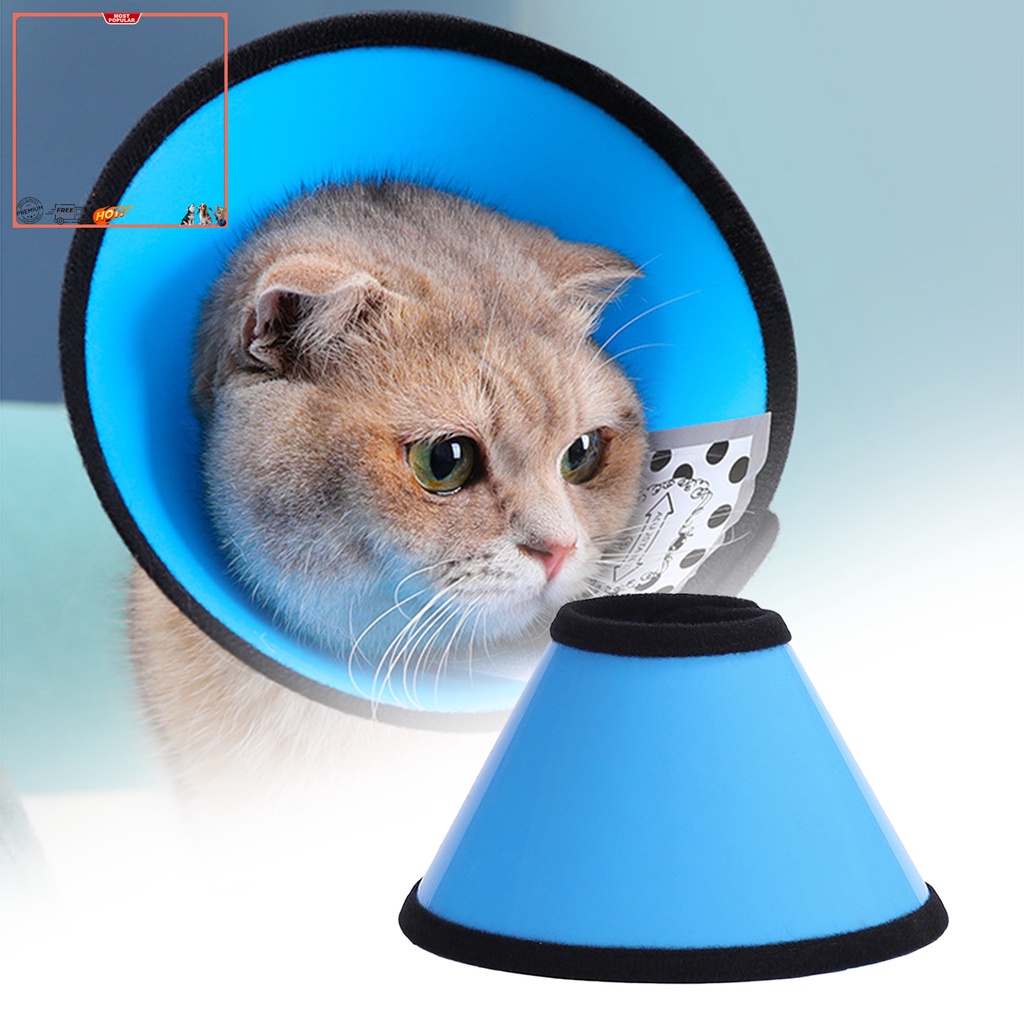 Vòng Cổ Tròn Bằng Nhựa Màu Trơn Chống Liếm Vết Thương Bảo Vệ Cho Mèo Cưng