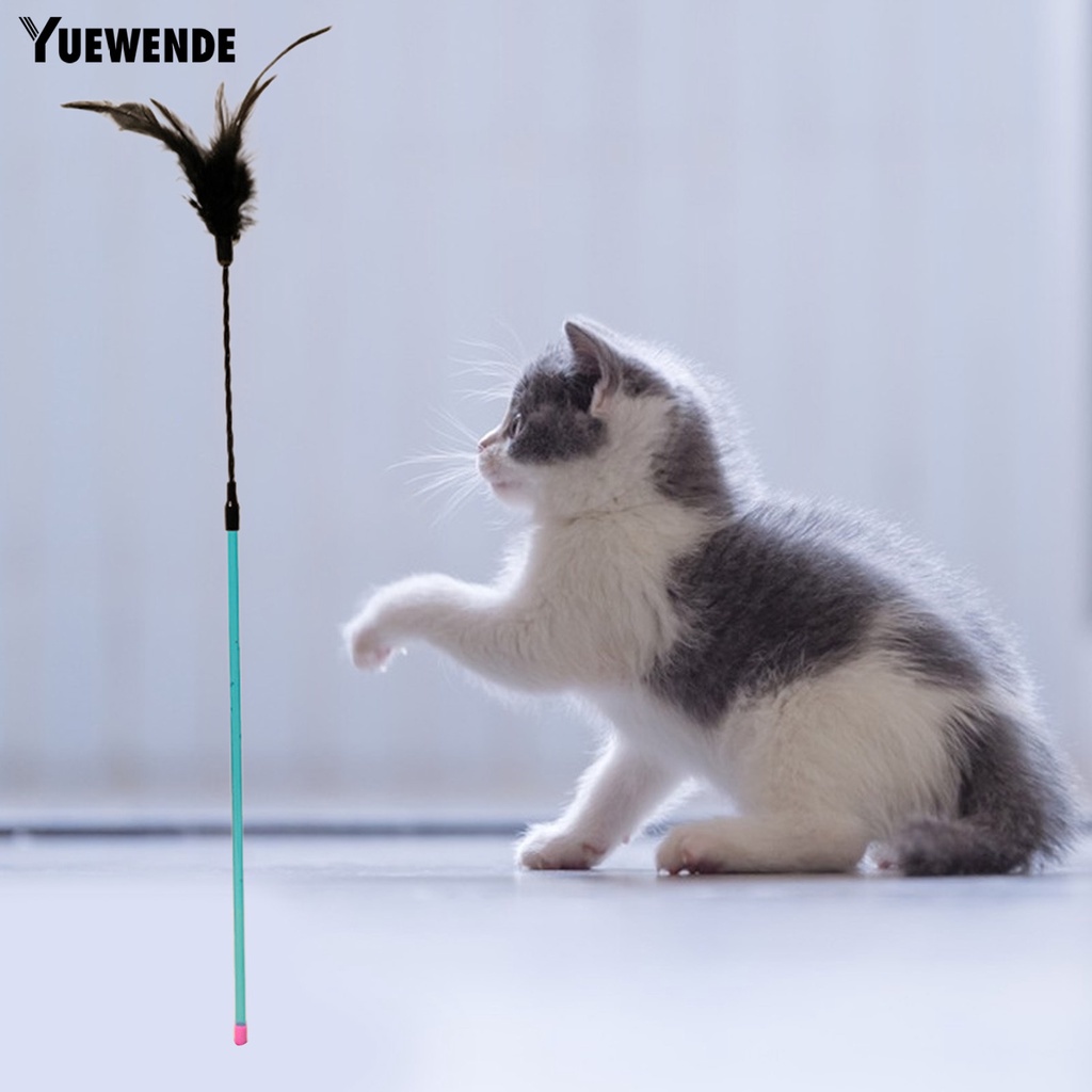 Gậy Lông Vũ Đồ Chơi Dài Chống Cắn Chống Trầy Xước Thoải Mái Tương Tác Với Mèo Cưng