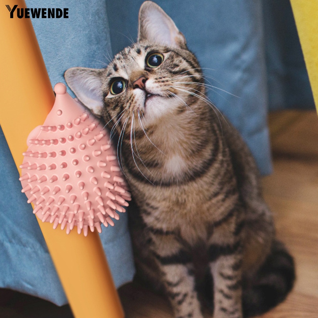 1 Bộ Lược Chải Lông Mềm Mại Chống Mòn Hình Nhím Hoạt Hình Dành Cho Thú Cưng
