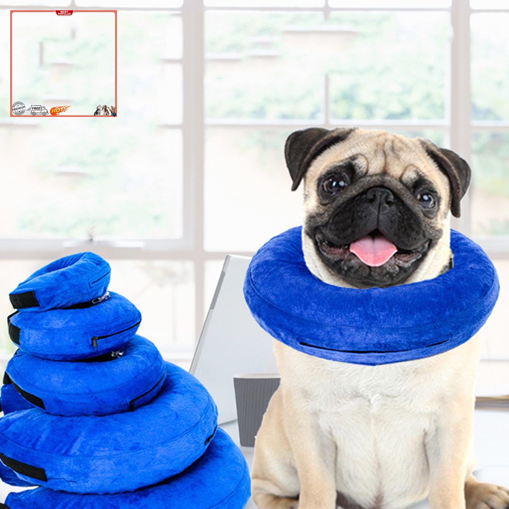 Đệm Bơm Hơi Bảo Vệ Cổ Chống Cắn Cho Thú Cưng