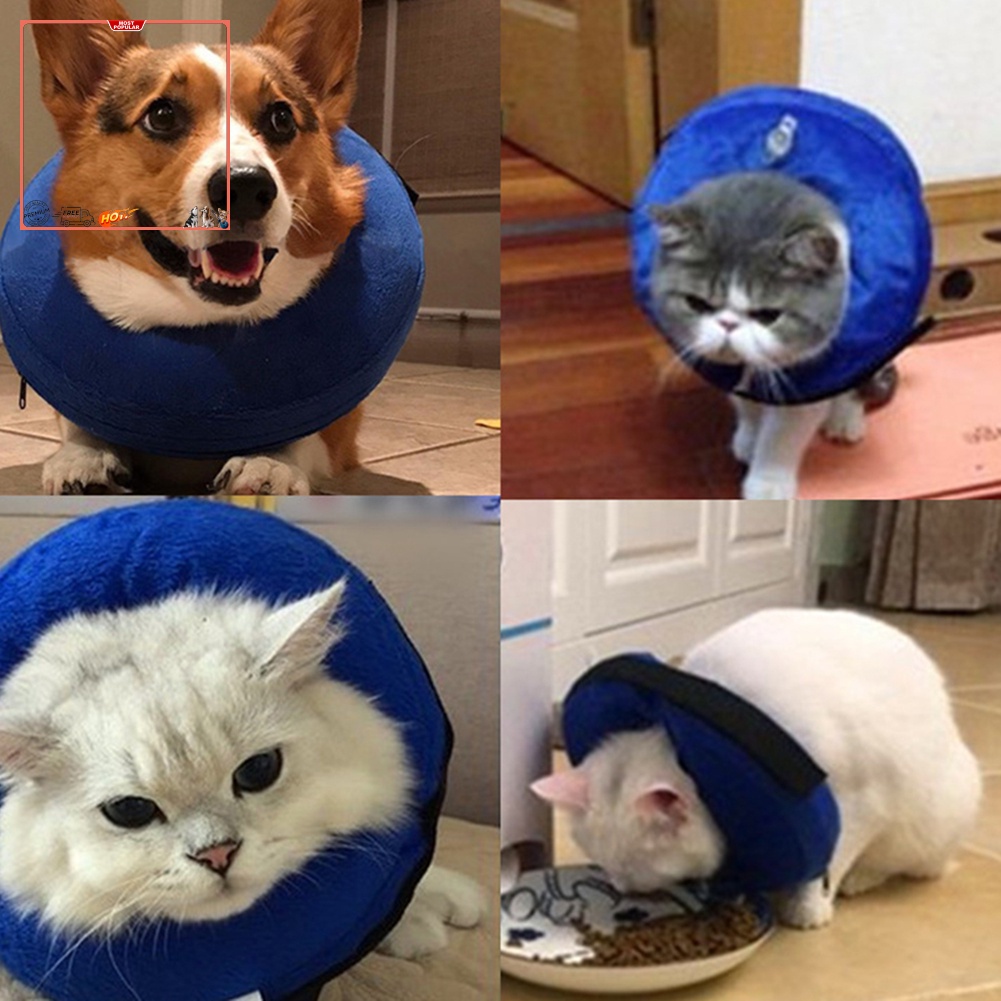 Đệm Bơm Hơi Bảo Vệ Cổ Chống Cắn Cho Thú Cưng