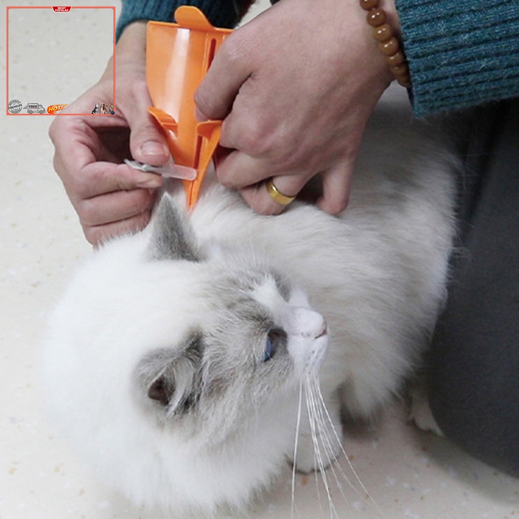 Hộp Đựng Thuốc YR.T YR.T Có Thang Đo Đa Chức Năng Cho Mèo Cưng