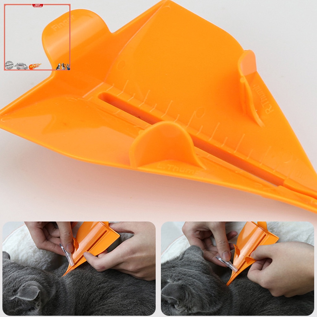 Hộp Đựng Thuốc YR.T YR.T Có Thang Đo Đa Chức Năng Cho Mèo Cưng