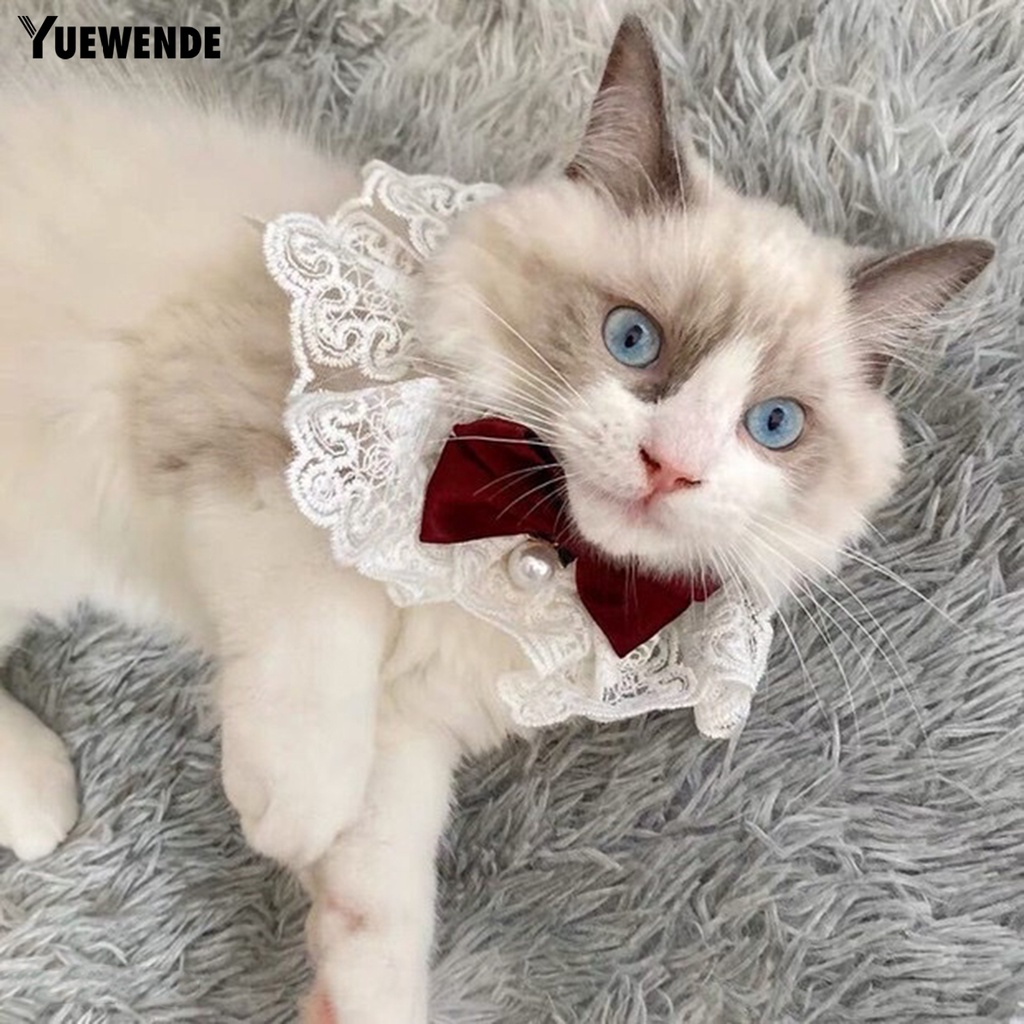 Yr.t Vòng Cổ Có Chuông Quyến Rũ Dễ Thương Cho Thú Cưng