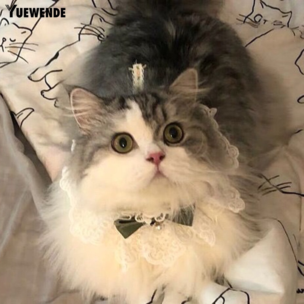 Yr.t Vòng Cổ Có Chuông Quyến Rũ Dễ Thương Cho Thú Cưng