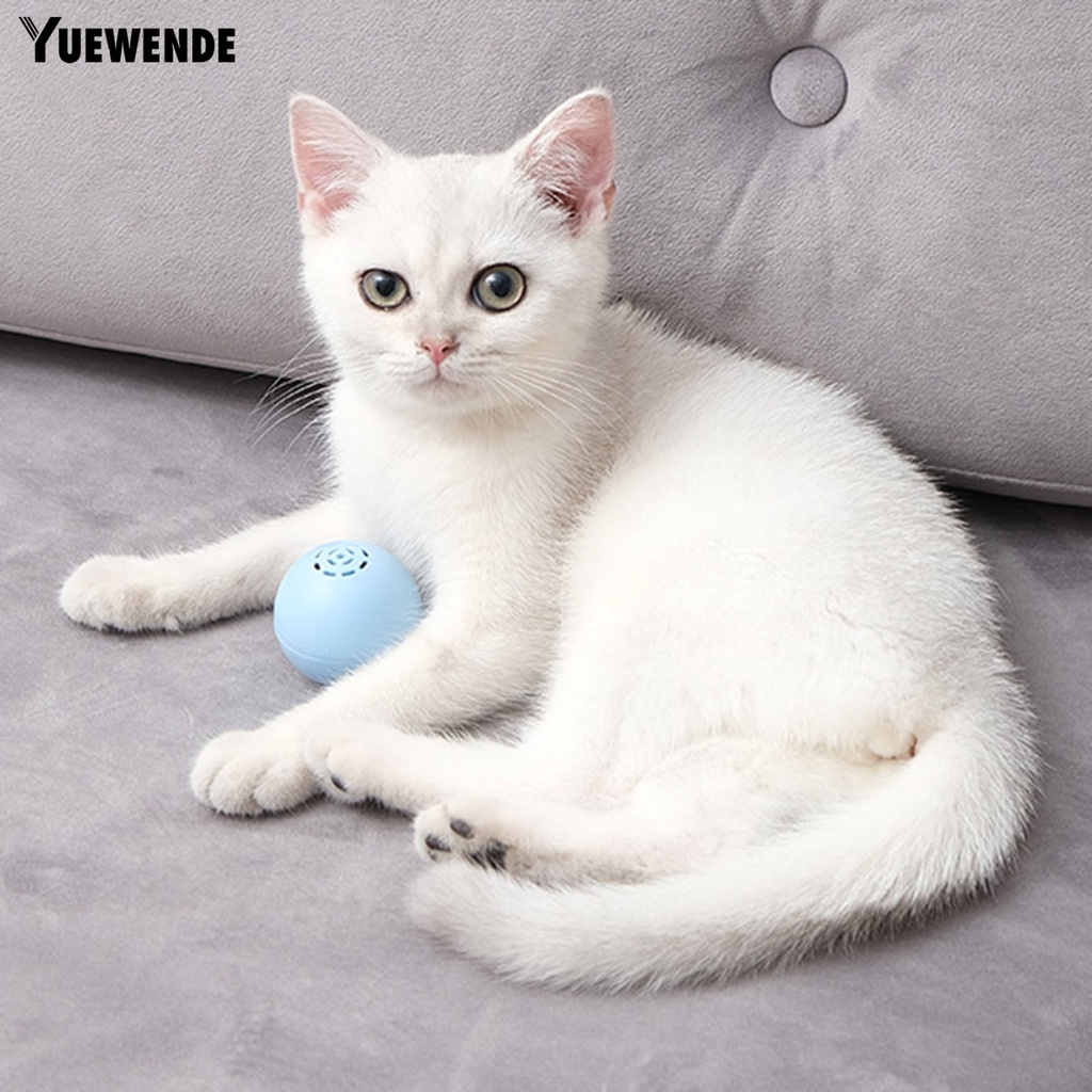 Bóng Đồ Chơi Chống Cắn Phát Ra Tiếng Kêu Vui Nhộn Cho Mèo Cưng
