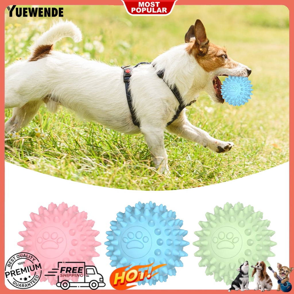 Đồ Chơi Gặm Chống Cắn Làm Sạch Răng Cho Thú Cưng Cỡ Nhỏ / Vừa / Lớn