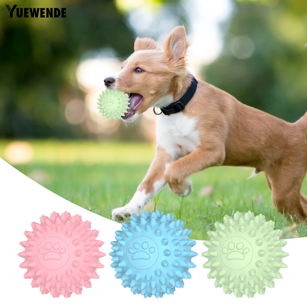 Đồ Chơi Gặm Chống Cắn Làm Sạch Răng Cho Thú Cưng Cỡ Nhỏ / Vừa / Lớn