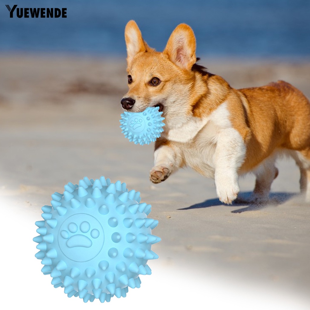 Đồ Chơi Gặm Chống Cắn Làm Sạch Răng Cho Thú Cưng Cỡ Nhỏ / Vừa / Lớn