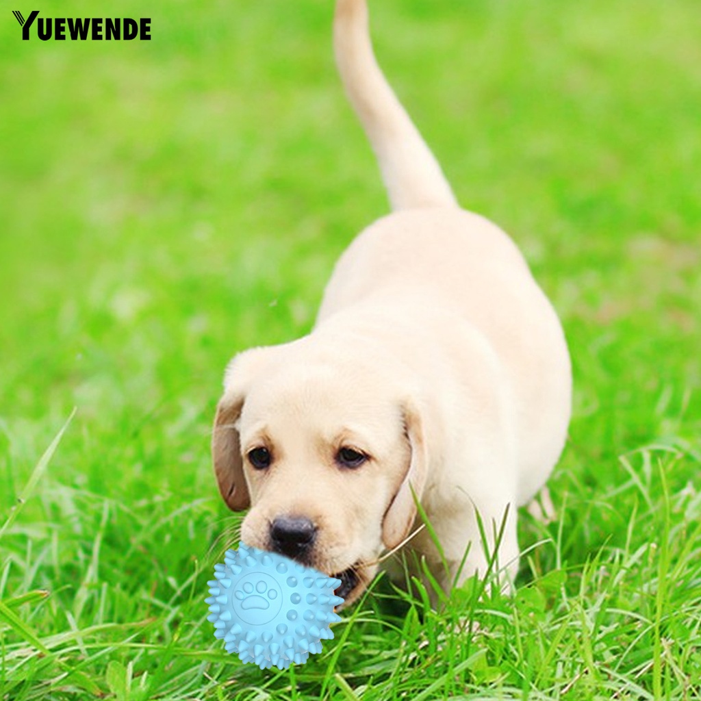 Đồ Chơi Gặm Chống Cắn Làm Sạch Răng Cho Thú Cưng Cỡ Nhỏ / Vừa / Lớn