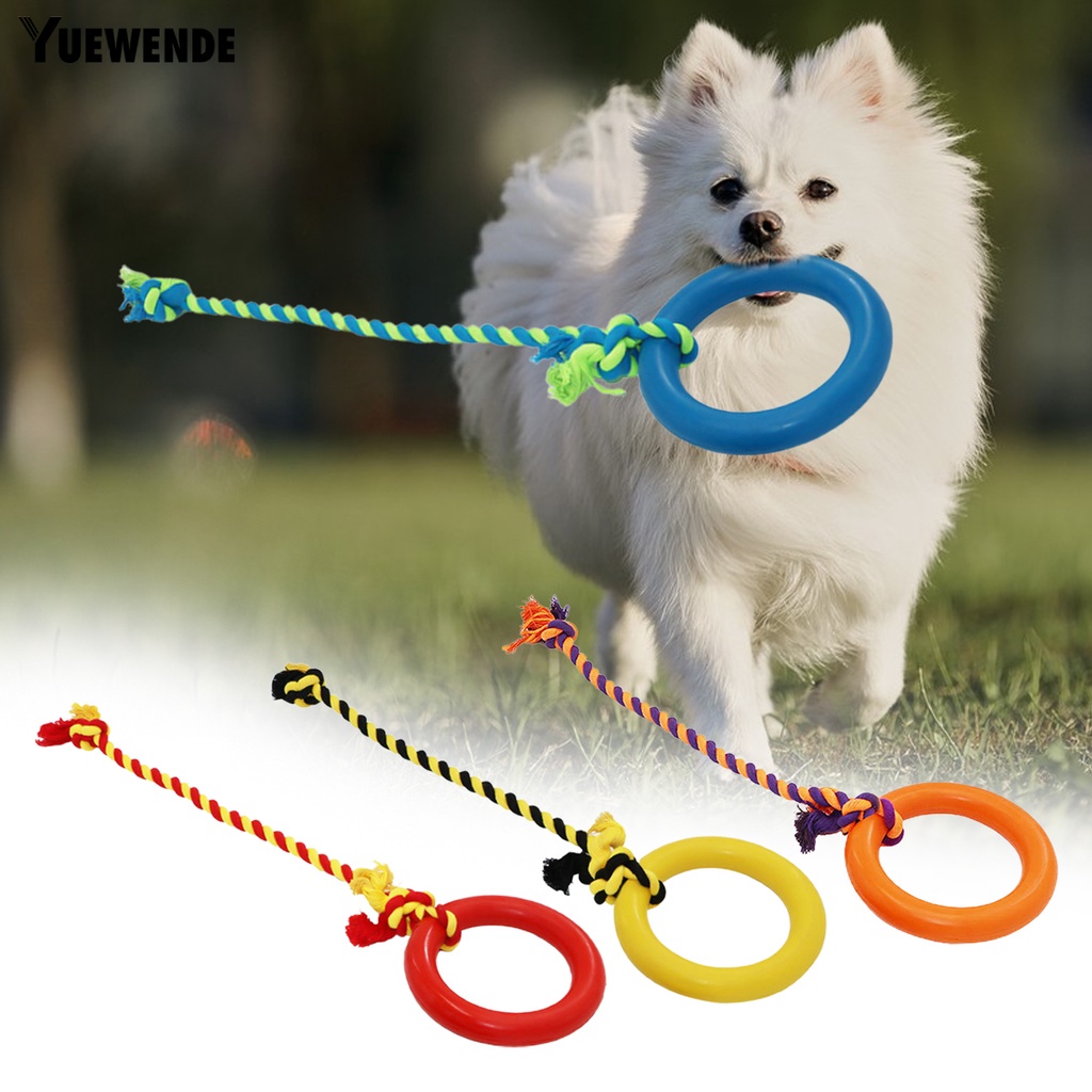 Yr.t Đồ Chơi GặM BằNg Cao Su Vệ Sinh Răng Cho Thú Cưng