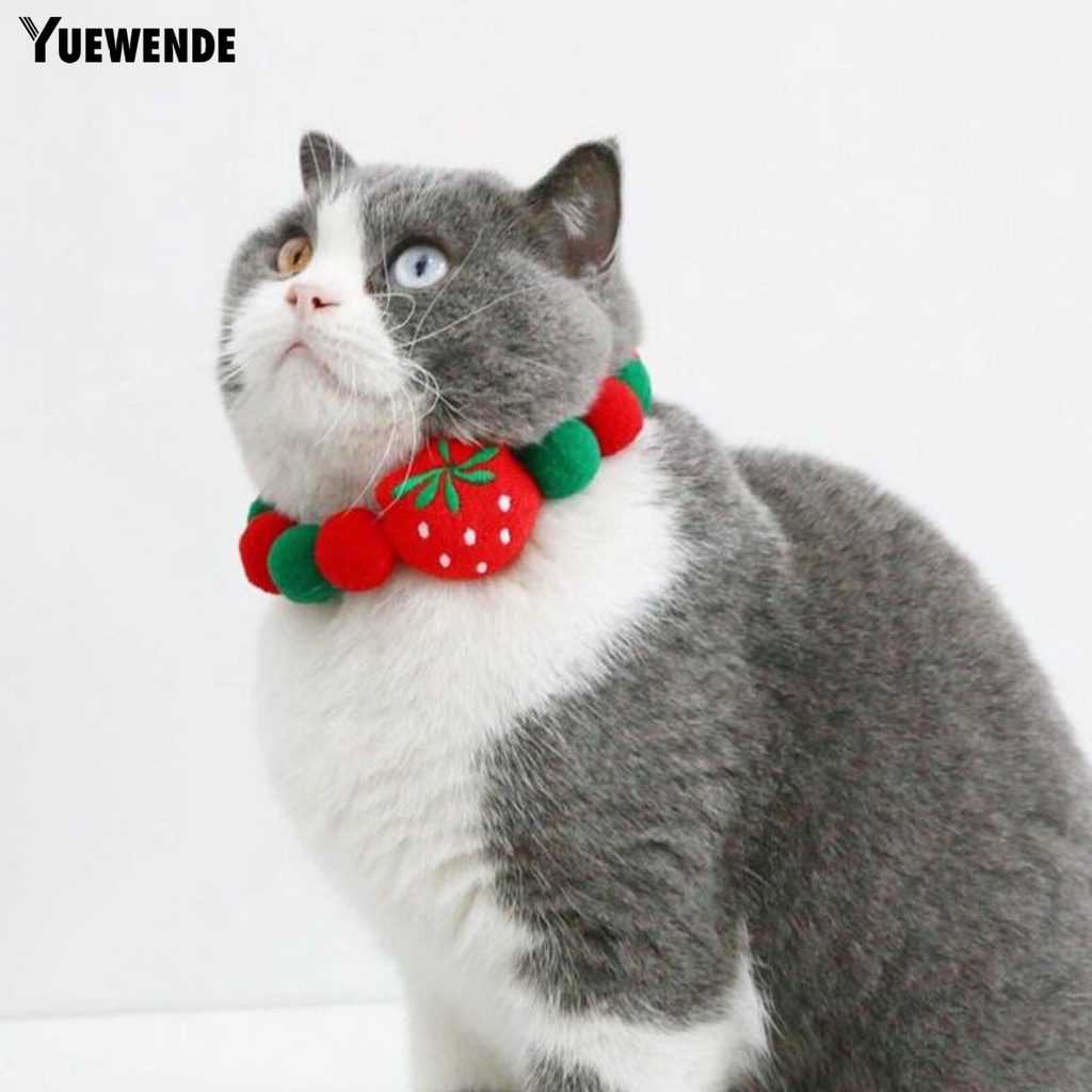 Vòng Cổ Hình Trái Cây Dễ Thương Cho Thú Cưng YR.T