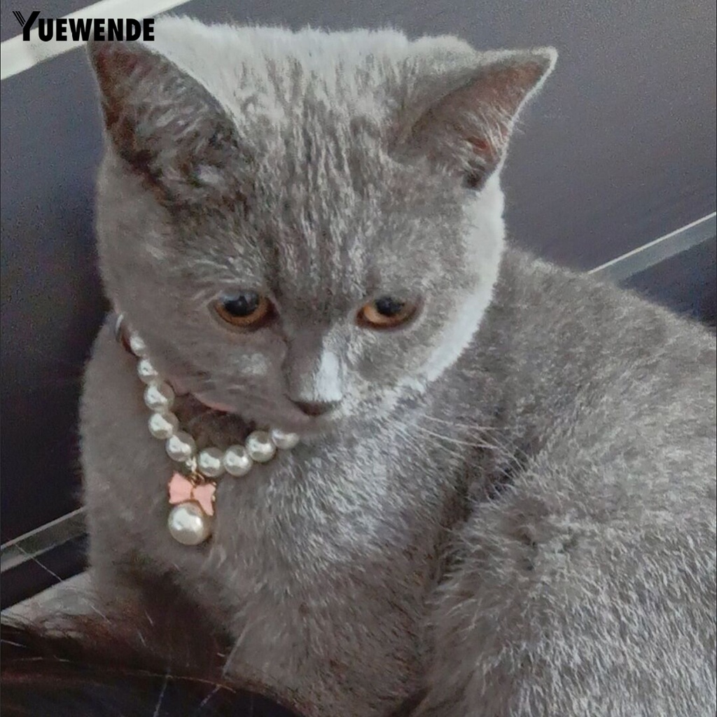 Vòng Cổ Đính Ngọc Trai Giả Bằng Nhựa Siêu Bền Dễ Thương Cho Thú Cưng