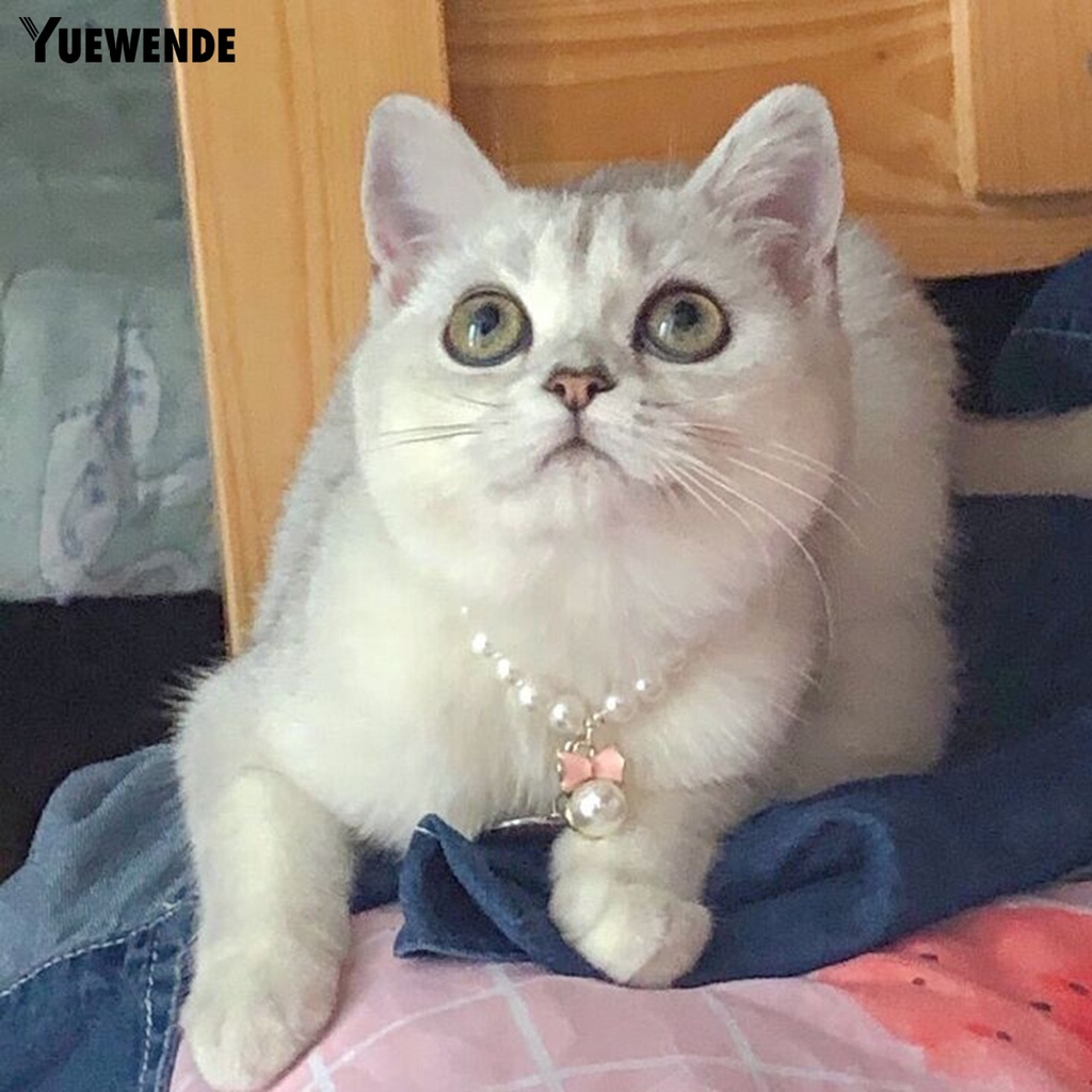 Vòng Cổ Đính Ngọc Trai Giả Bằng Nhựa Siêu Bền Dễ Thương Cho Thú Cưng