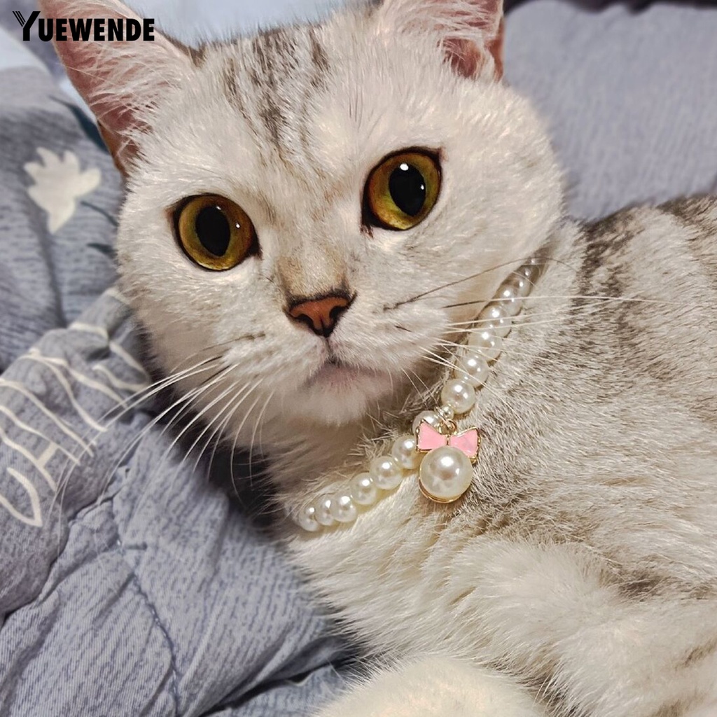 Vòng Cổ Đính Ngọc Trai Giả Bằng Nhựa Siêu Bền Dễ Thương Cho Thú Cưng