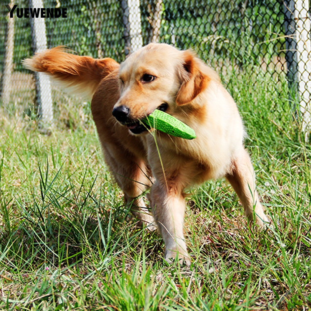 Yr.t Đồ Chơi Mềm Mại Độ Co Giãn Cao Làm Sạch Răng Cho Cún Cưng