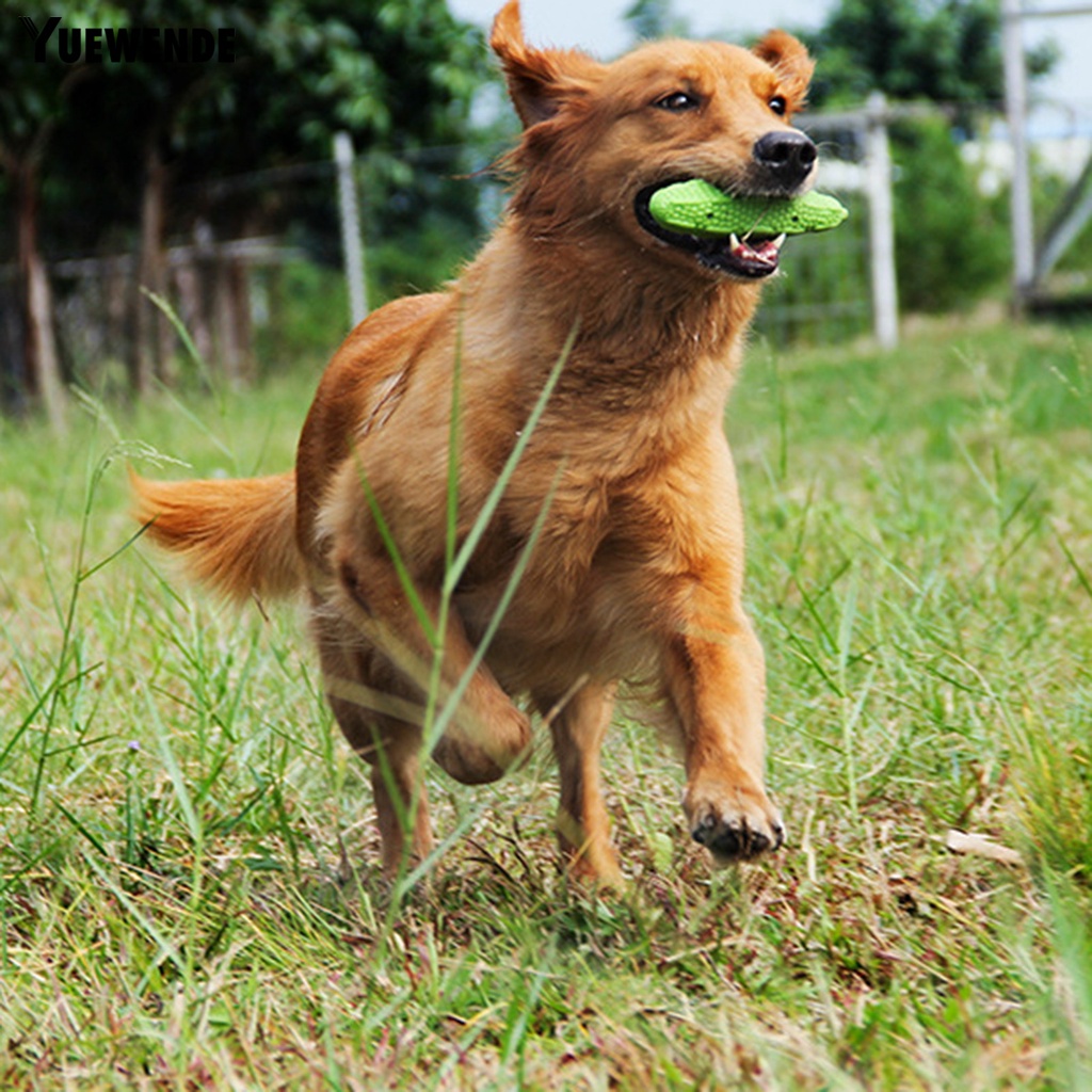 Yr.t Đồ Chơi Mềm Mại Độ Co Giãn Cao Làm Sạch Răng Cho Cún Cưng