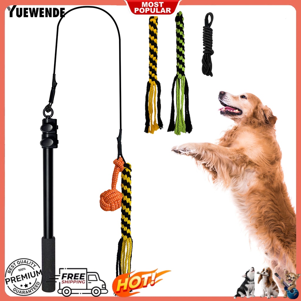 1 Bộ Gậy Đồ Chơi YR.T Có Thể Thu Gọn Chống Cắn Giảm Căng Thẳng Tương Tác Cho Cún Cưng