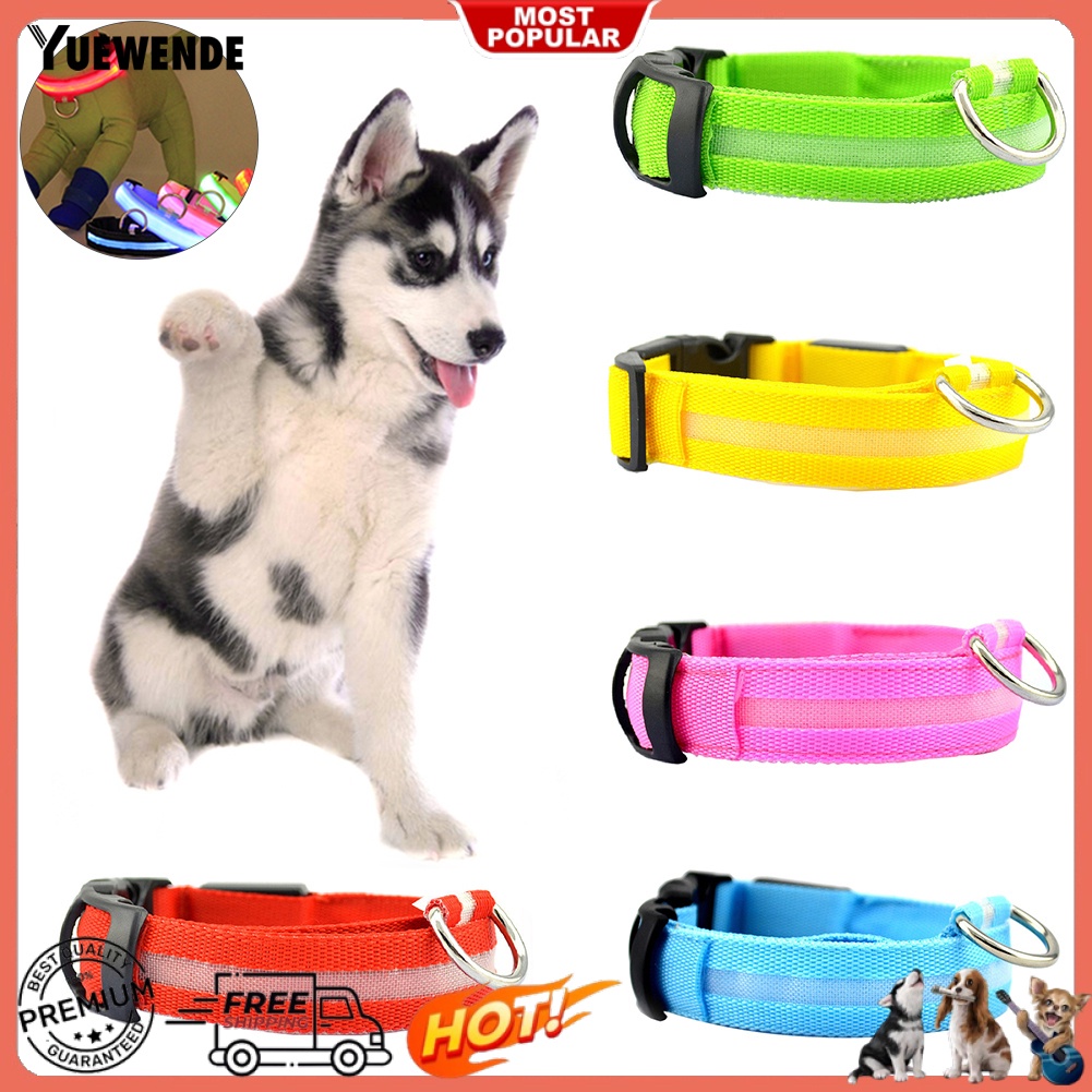 Vòng Cổ Thú Cưng Gắn Đèn LED Có Thể Sạc Lại Bằng Cổng USB Chống Thất Lạc