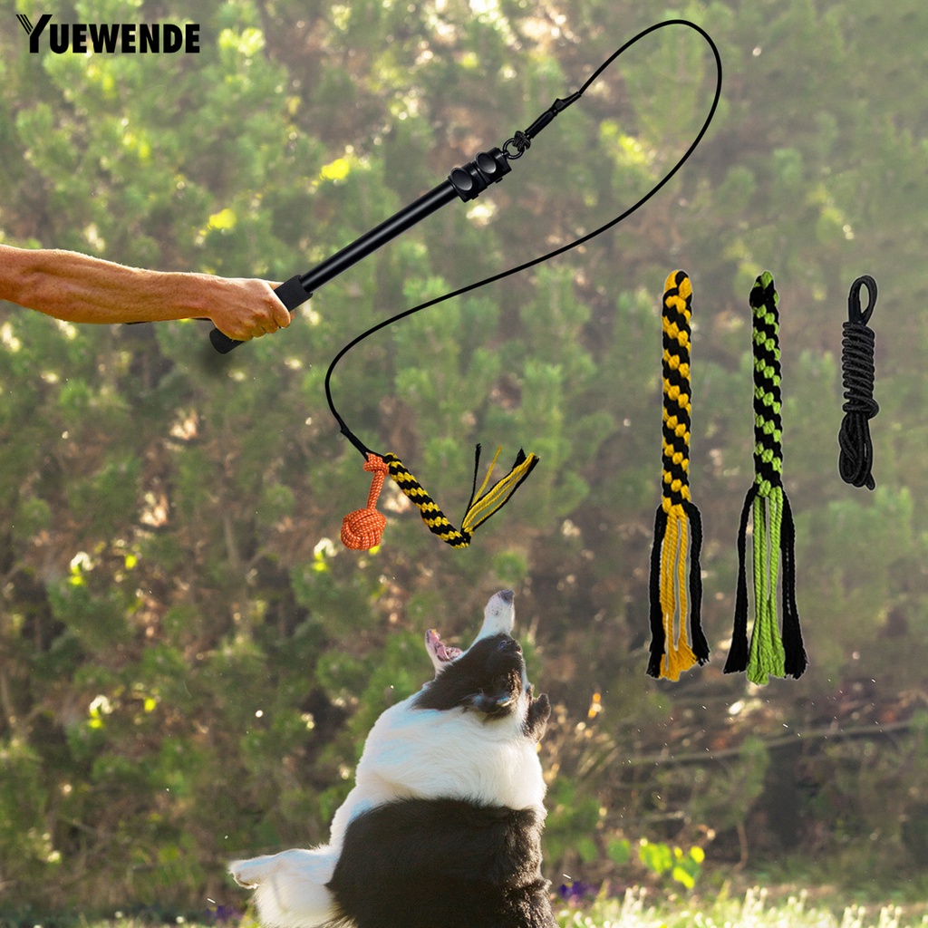 1 Bộ Gậy Đồ Chơi YR.T Có Thể Thu Gọn Chống Cắn Giảm Căng Thẳng Tương Tác Cho Cún Cưng