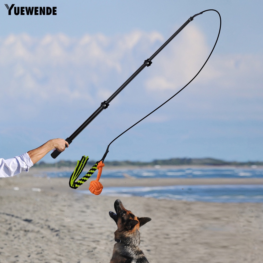 1 Bộ Gậy Đồ Chơi YR.T Có Thể Thu Gọn Chống Cắn Giảm Căng Thẳng Tương Tác Cho Cún Cưng